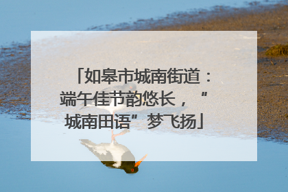如皋市城南街道：端午佳节韵悠长，“城南田语”梦飞扬