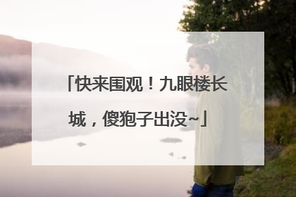 快来围观！九眼楼长城，傻狍子出没~