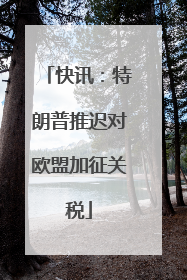 快讯：特朗普推迟对欧盟加征关税