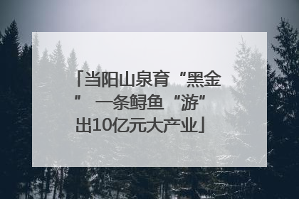 当阳山泉育“黑金” 一条鲟鱼“游”出10亿元大产业