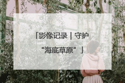 影像记录｜守护“海底草原”