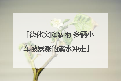 德化突降暴雨 多辆小车被暴涨的溪水冲走