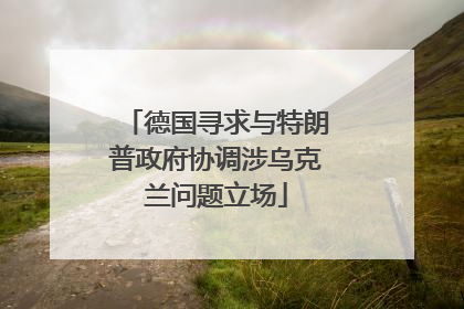 德国寻求与特朗普政府协调涉乌克兰问题立场