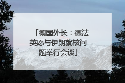 德国外长：德法英愿与伊朗就核问题举行会谈