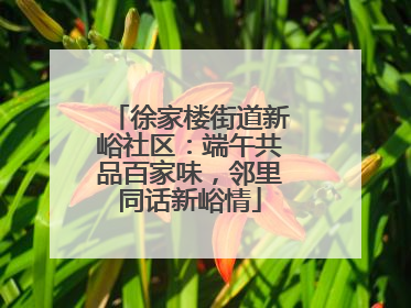 徐家楼街道新峪社区：端午共品百家味，邻里同话新峪情