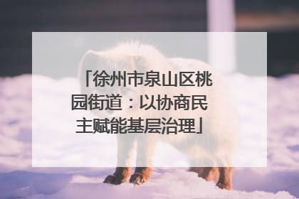 徐州市泉山区桃园街道：以协商民主赋能基层治理