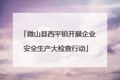 微山县西平镇开展企业安全生产大检查行动