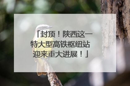 封顶！陕西这一特大型高铁枢纽站迎来重大进展！