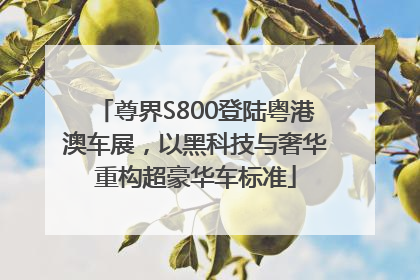 尊界S800登陆粤港澳车展，以黑科技与奢华重构超豪华车标准