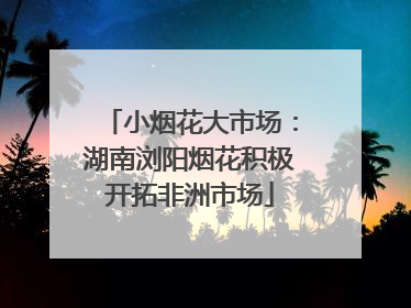 小烟花大市场：湖南浏阳烟花积极开拓非洲市场