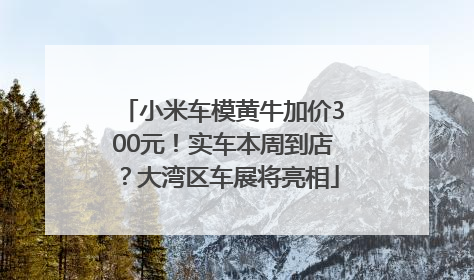 小米车模黄牛加价300元！实车本周到店？大湾区车展将亮相