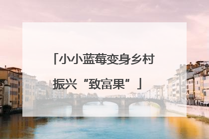 小小蓝莓变身乡村振兴“致富果”