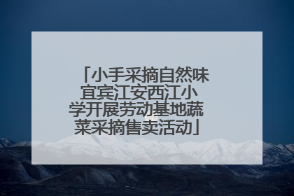 小手采摘自然味 宜宾江安西江小学开展劳动基地蔬菜采摘售卖活动