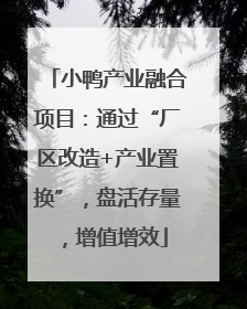 小鸭产业融合项目：通过“厂区改造+产业置换”，盘活存量，增值增效