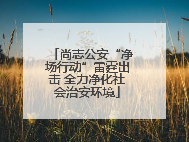 尚志公安“净场行动”雷霆出击 全力净化社会治安环境