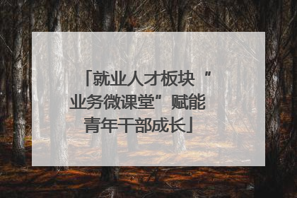 就业人才板块“业务微课堂”赋能青年干部成长