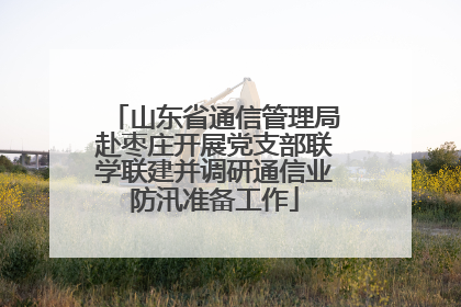 山东省通信管理局赴枣庄开展党支部联学联建并调研通信业防汛准备工作