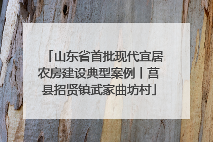 山东省首批现代宜居农房建设典型案例丨莒县招贤镇武家曲坊村