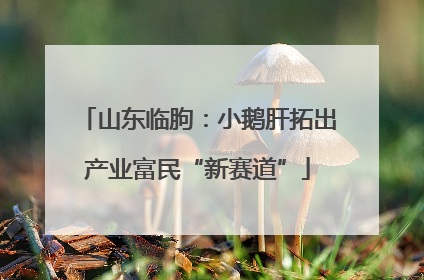 山东临朐：小鹅肝拓出产业富民“新赛道”