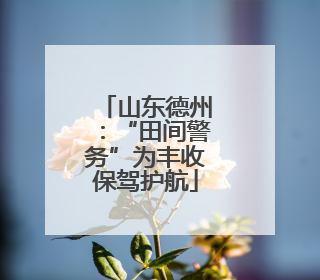 山东德州：“田间警务”为丰收保驾护航