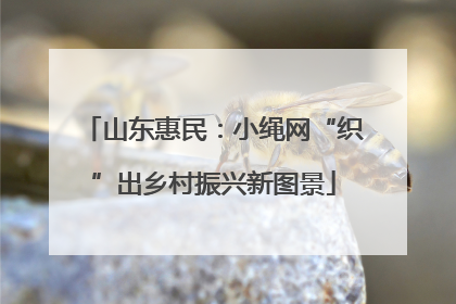 山东惠民：小绳网“织”出乡村振兴新图景