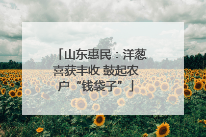 山东惠民：洋葱喜获丰收 鼓起农户“钱袋子”