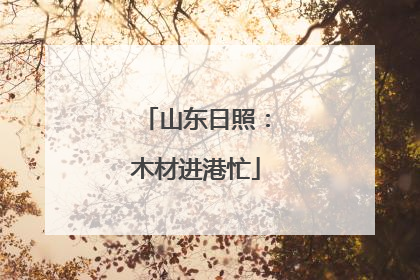 山东日照：木材进港忙