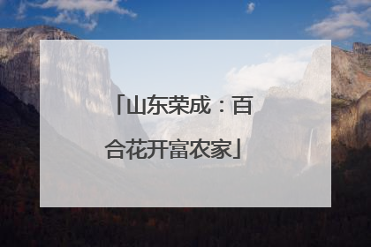 山东荣成：百合花开富农家