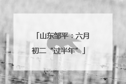 山东邹平：六月初二“过半年”