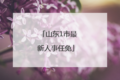 山东1市最新人事任免