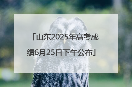 山东2025年高考成绩6月25日下午公布