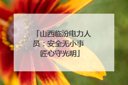山西临汾电力人员：安全无小事 匠心守光明