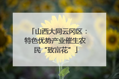 山西大同云冈区：特色优势产业催生农民“致富花”