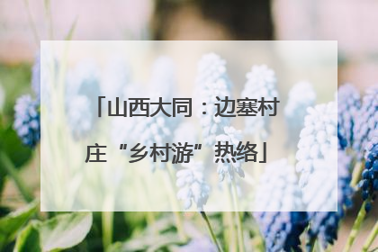 山西大同：边塞村庄“乡村游”热络