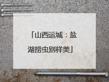 山西运城：盐湖捞虫别样美