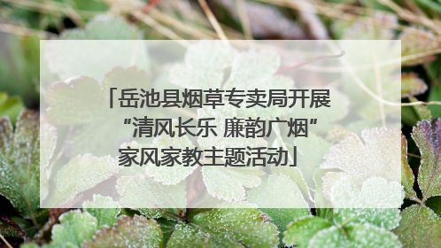 岳池县烟草专卖局开展“清风长乐 廉韵广烟”家风家教主题活动