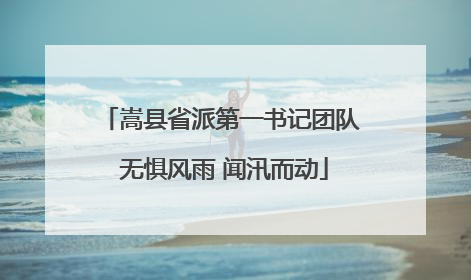 嵩县省派第一书记团队 无惧风雨 闻汛而动