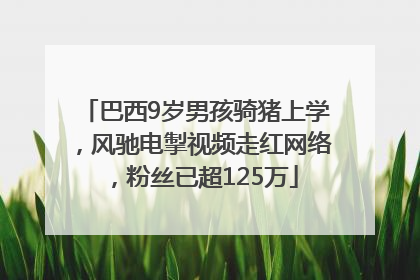 巴西9岁男孩骑猪上学，风驰电掣视频走红网络，粉丝已超125万