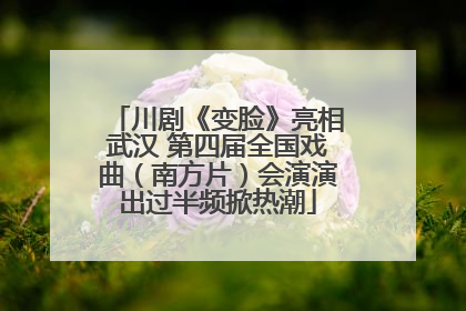 川剧《变脸》亮相武汉 第四届全国戏曲（南方片）会演演出过半频掀热潮