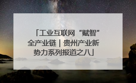工业互联网“赋智”全产业链｜贵州产业新势力系列报道之八