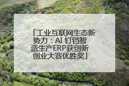 工业互联网生态新势力：AI 钉铛智造生产ERP获创新创业大赛优胜奖