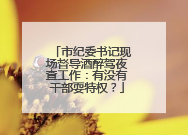 市纪委书记现场督导酒醉驾夜查工作：有没有干部耍特权？