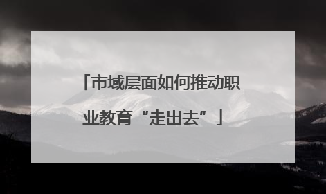 市域层面如何推动职业教育“走出去”