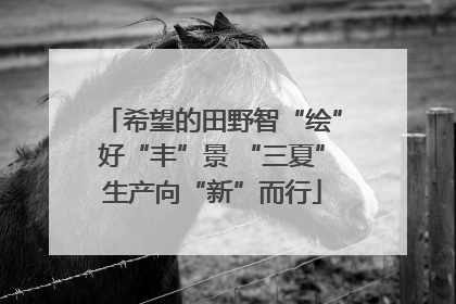 希望的田野智“绘”好“丰”景 “三夏”生产向“新”而行