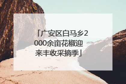 广安区白马乡2000余亩花椒迎来丰收采摘季