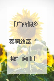广西侗乡奏响致富“椒”响曲