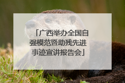 广西举办全国自强模范暨助残先进事迹宣讲报告会