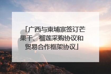 广西与柬埔寨签订芒果干、榴莲采购协议和贸易合作框架协议