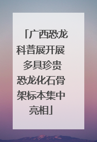 广西恐龙科普展开展 多具珍贵恐龙化石骨架标本集中亮相
