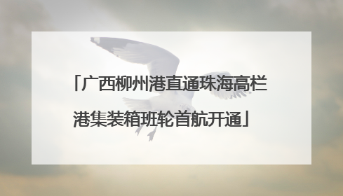 广西柳州港直通珠海高栏港集装箱班轮首航开通